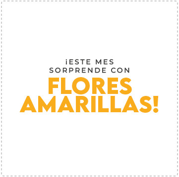 Oferta en Ecuador