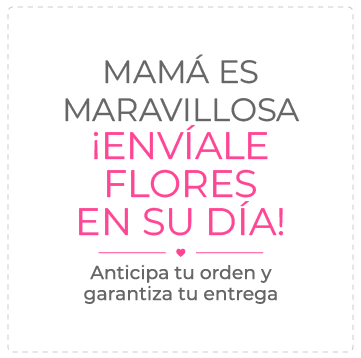 Oferta en Ecuador