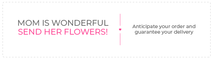 Offer in Ecuador