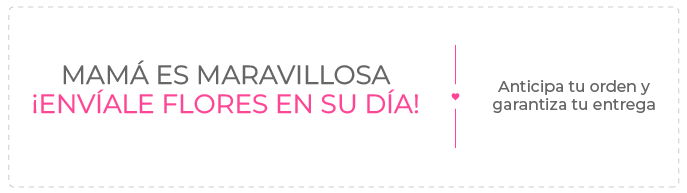 Oferta en Ecuador