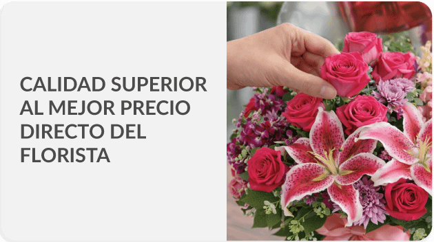 Envía a todo Ecuador